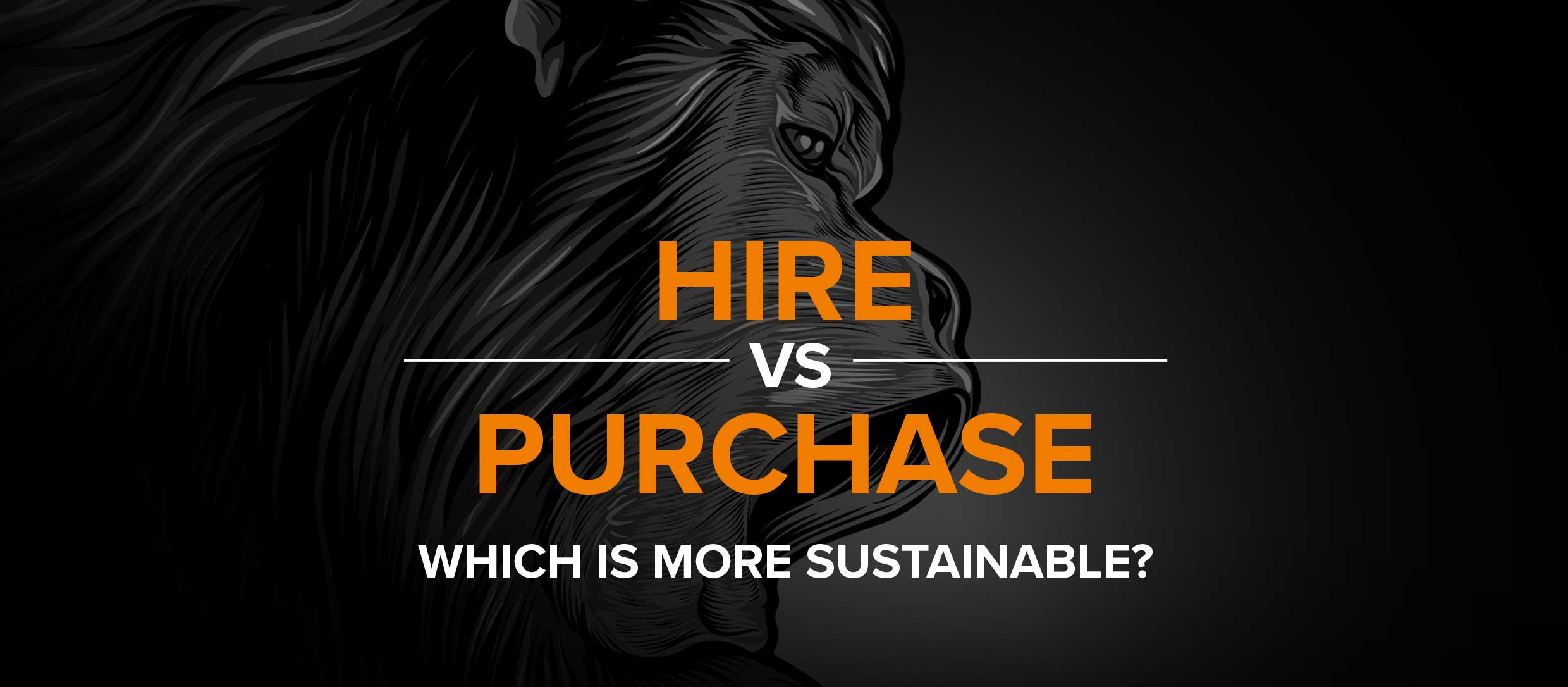 Hire Vs Purchase Website Banner